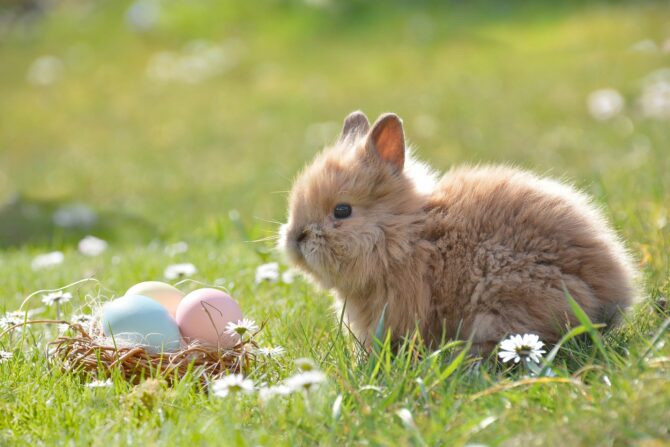 French Easter traditions