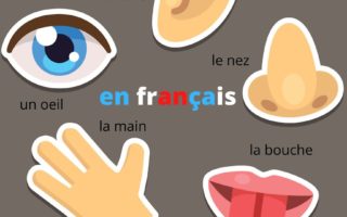 15 French idioms featuring parts of the body
