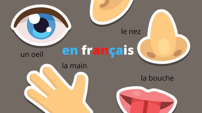 15 French idioms featuring parts of the body