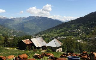 Interest in Alpine homes piqued by Everest anniversary