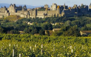 Location spotlight: Dordogne vs Languedoc
