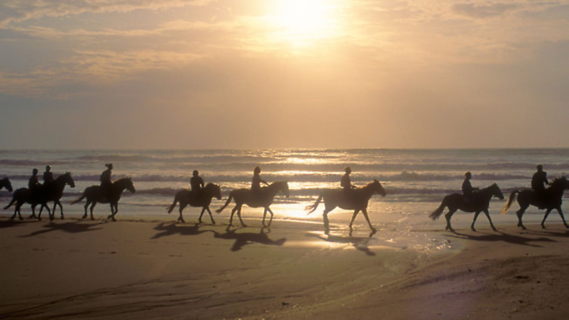 Equine property Complete France