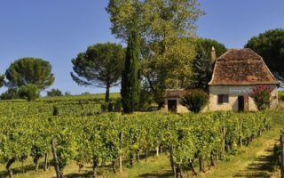 Where to buy French property… if you want vineyards