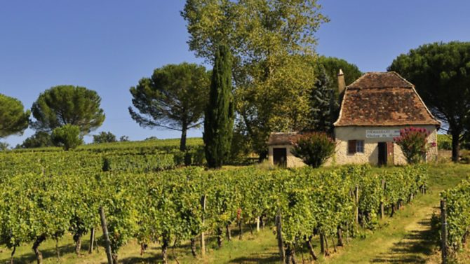 Where to buy French property… if you want vineyards