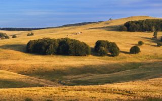 Top 5 hidden locations for French property