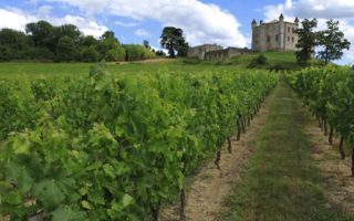 The process and legalities of buying a vineyard property in France