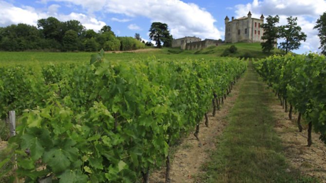 The process and legalities of buying a vineyard property in France