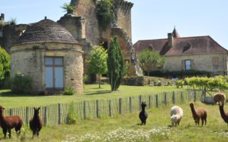Dordogne and beyond: an estate agent interview