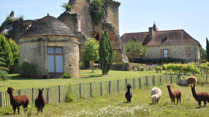 Dordogne and beyond: an estate agent interview