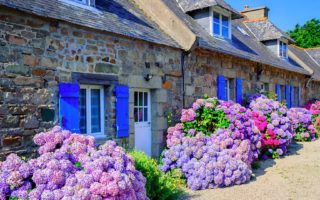 Property diary: looking for a house in Brittany for €90,000