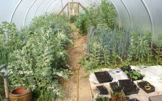 My French garden: spring in Calvados