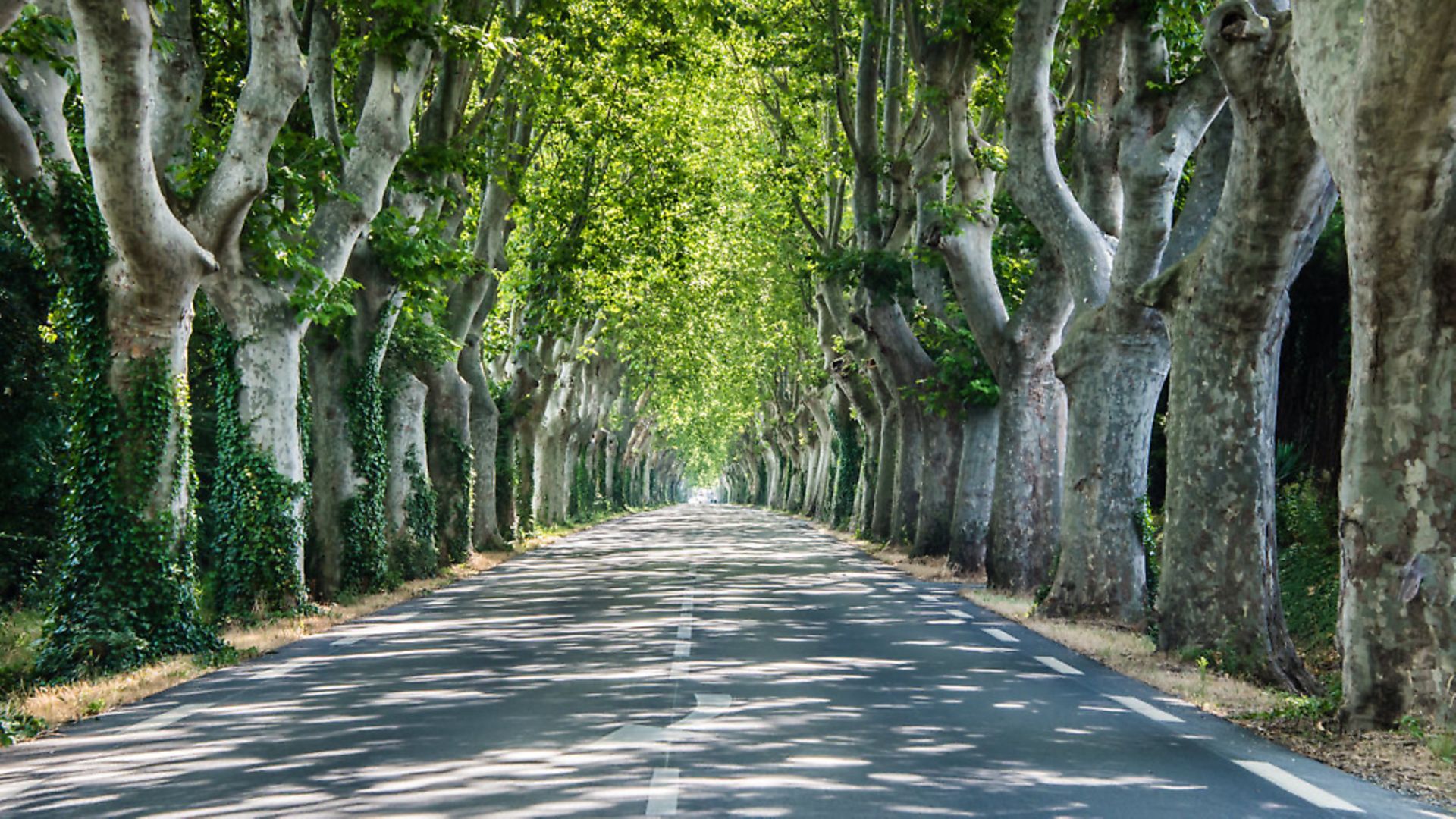 Tips for renting a car in France Complete France