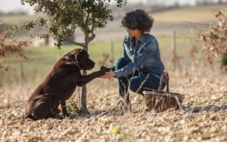 A truffle hunting adventure in France’s Lot Valley