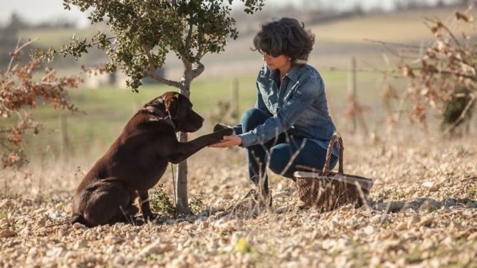 A truffle hunting adventure in France’s Lot Valley