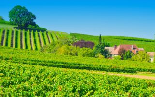 Location spotlight: Aquitaine