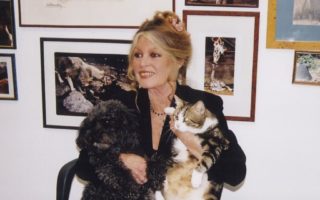 French Icon: Brigitte Bardot