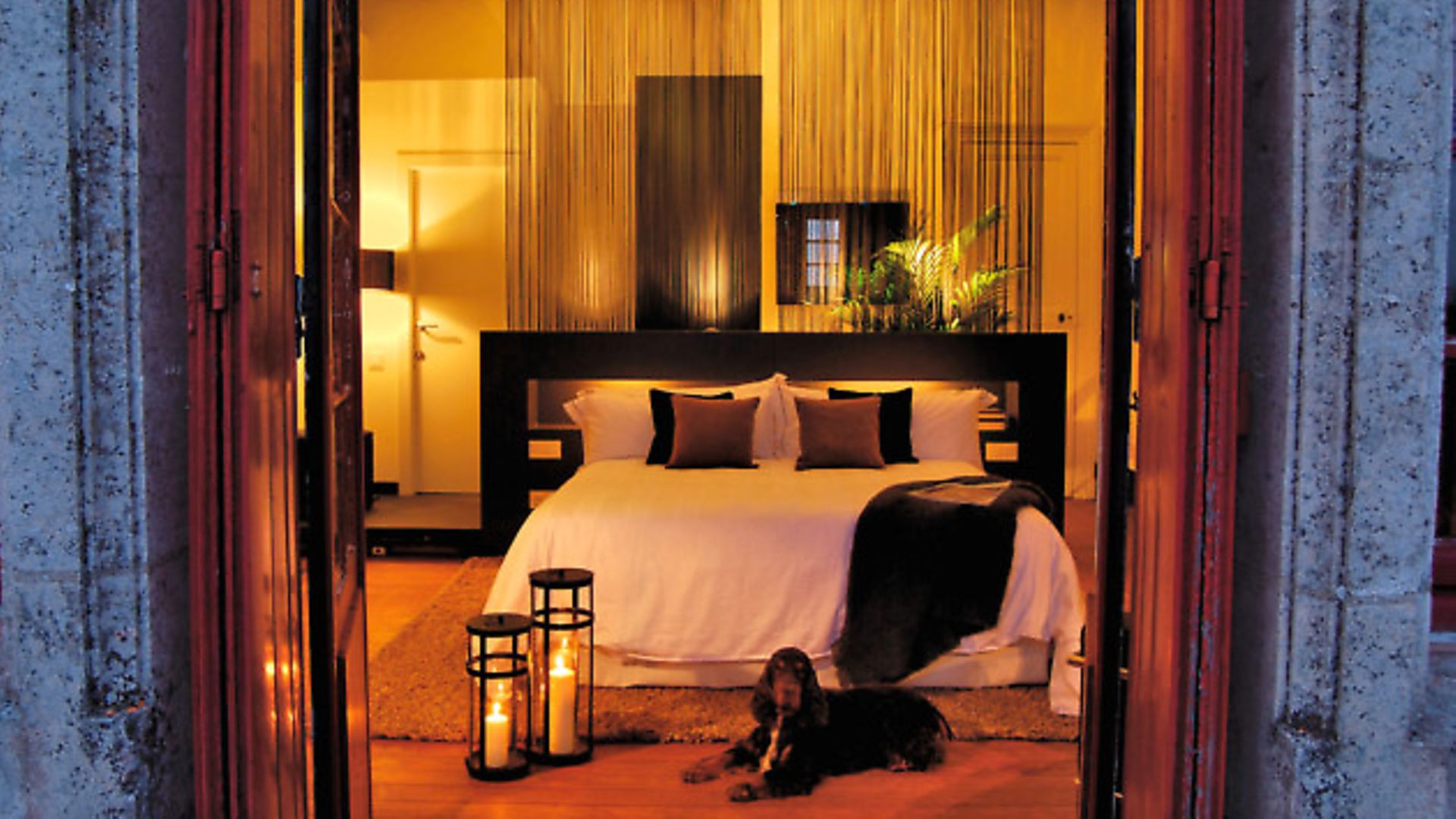 5 petfriendly hotels in France Complete France