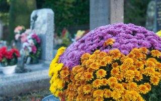 What is la Toussaint in France?