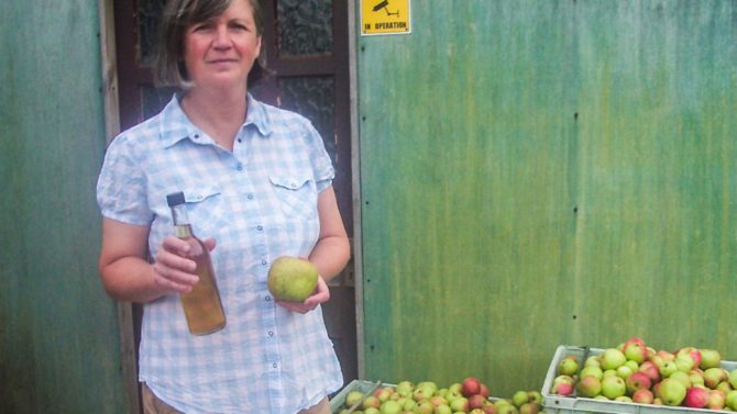 Making your own cider in France