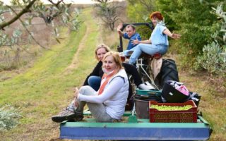 We left America to live on a French farm