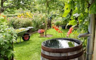 11 ways you can make your French property more eco-friendly