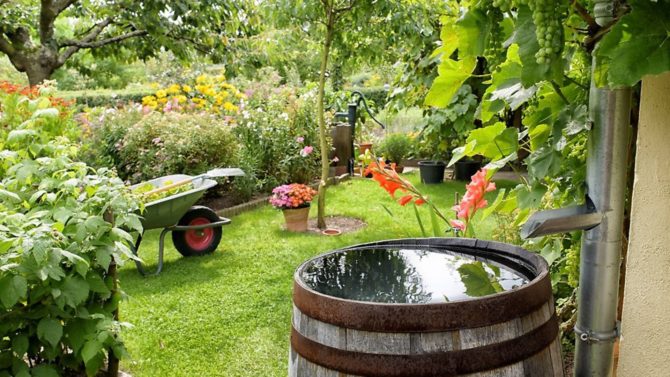 11 ways you can make your French property more eco-friendly