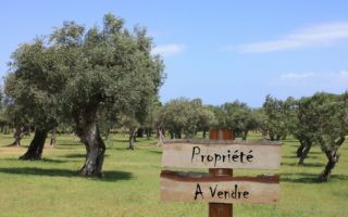 How not to market your French property for sale