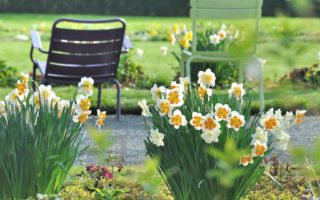 France looks absolutely beautiful in spring