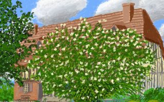 David Hockney exhibition celebrates springtime in France