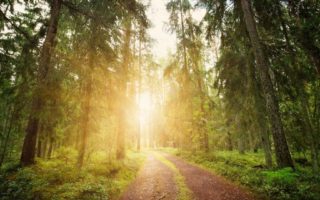 How do expats in France feel about coming out of lockdown?