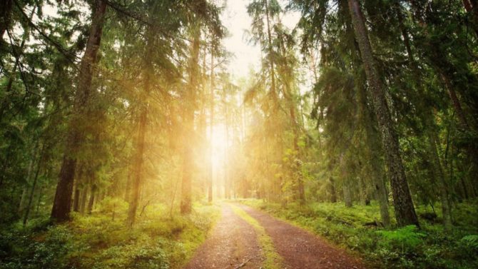 How do expats in France feel about coming out of lockdown?