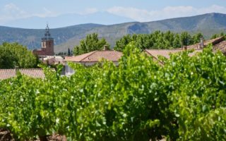 Making wine in 100-year-old French vineyards