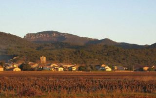 10 outstanding vineyards in France you have to visit