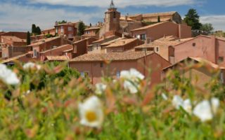 Property surveys in France