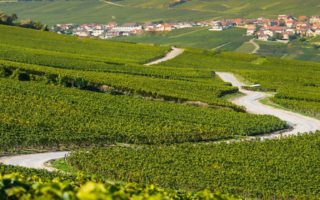 Road trip: explore Champagne country