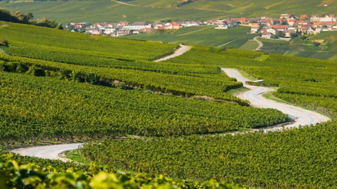Road trip: explore Champagne country