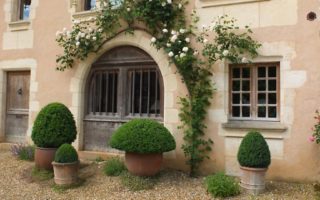 Know your exchange rates