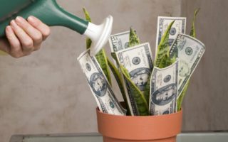 Essential tips to increase returns on your investments