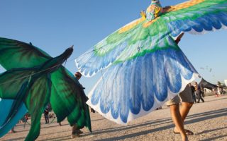 Stunning images capture energy of the mistral wind in France