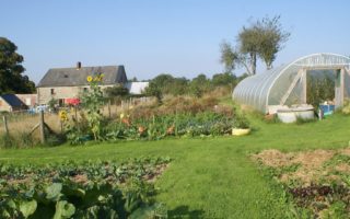 A year in my garden in Normandy