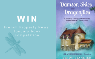 Book Competition: Win a copy of Damson Skies and Dragonflies by Lindy Viandier