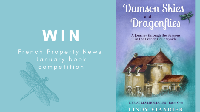 Book Competition: Win a copy of Damson Skies and Dragonflies by Lindy Viandier