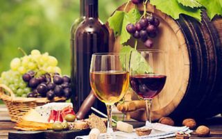 10 of the best food & wine tours in France