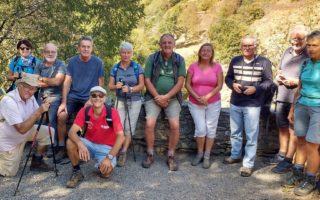 How expat support groups can help you integrate in France