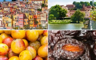 Menton Lemons to Mirabelle plums: French fruit and where it grows