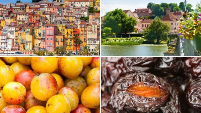 Menton Lemons to Mirabelle plums: French fruit and where it grows