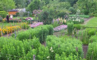 Home thoughts from abroad: a British expat in France