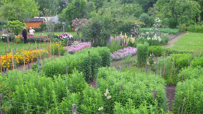 Home thoughts from abroad: a British expat in France