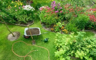 Quiz: French gardening language...