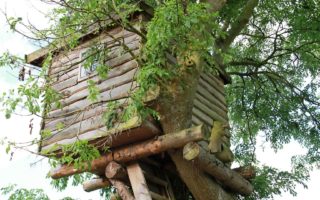 Building a tree house on a French property